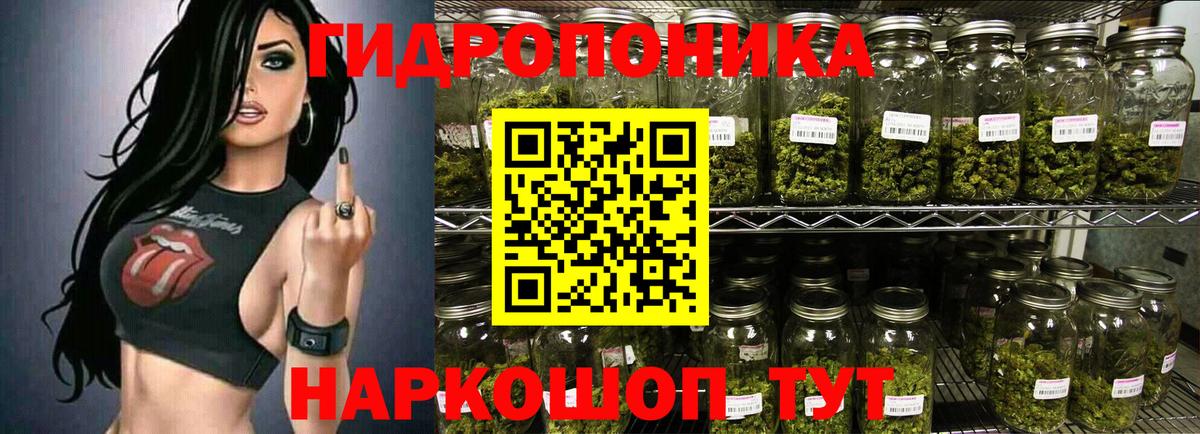 Шишки марихуана план Елабуга